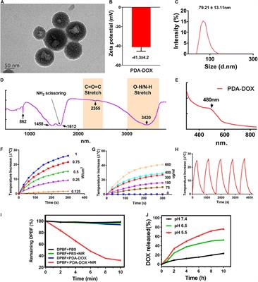 Natural Melanin-Based Nanoparticles With Combined Chemo/Photothermal/Photodynamic Effect Induce Immunogenic Cell Death (ICD) on Tumor